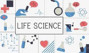 Pharmaceuticals and Life Sciences Products